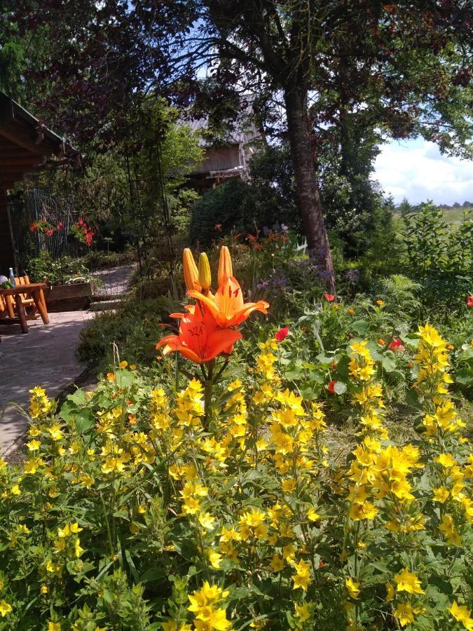 Au Paradou Du Bucheron Adults Only Lessive Ngoại thất bức ảnh