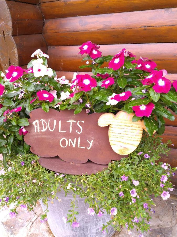 Au Paradou Du Bucheron Adults Only Lessive Ngoại thất bức ảnh